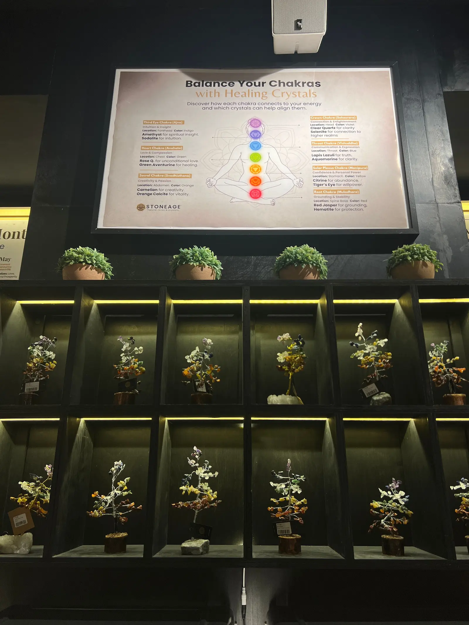 Gemstone trees standing in individually lit niches, below a framed chart pairing each chakra with its stones