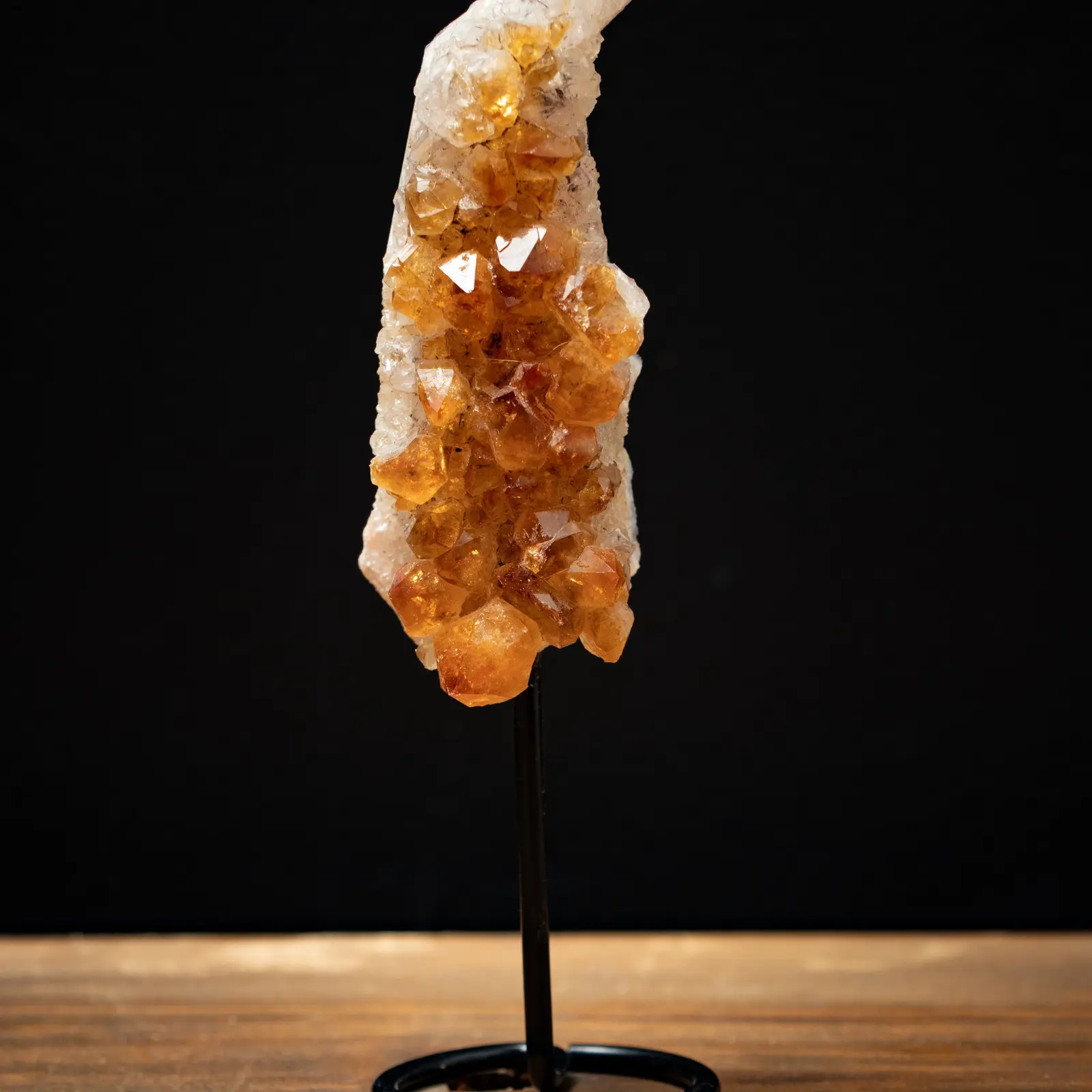 A heat-treated citrine cluster raised on a small black stand, burnt orange points above a pale milky base