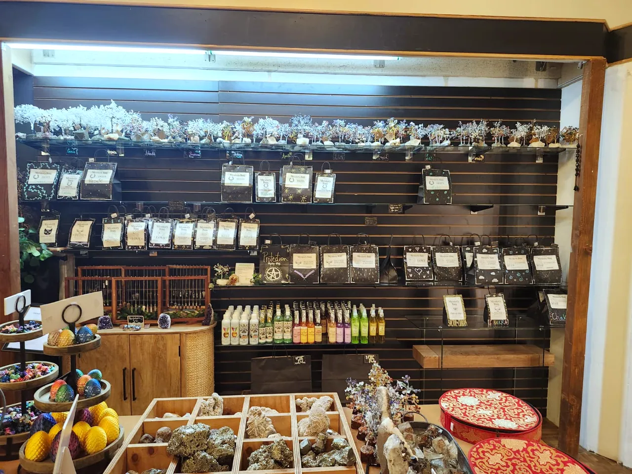 The Jacksonville Mall store, a slatted wall of labelled specimens above open bins of tumbled stone